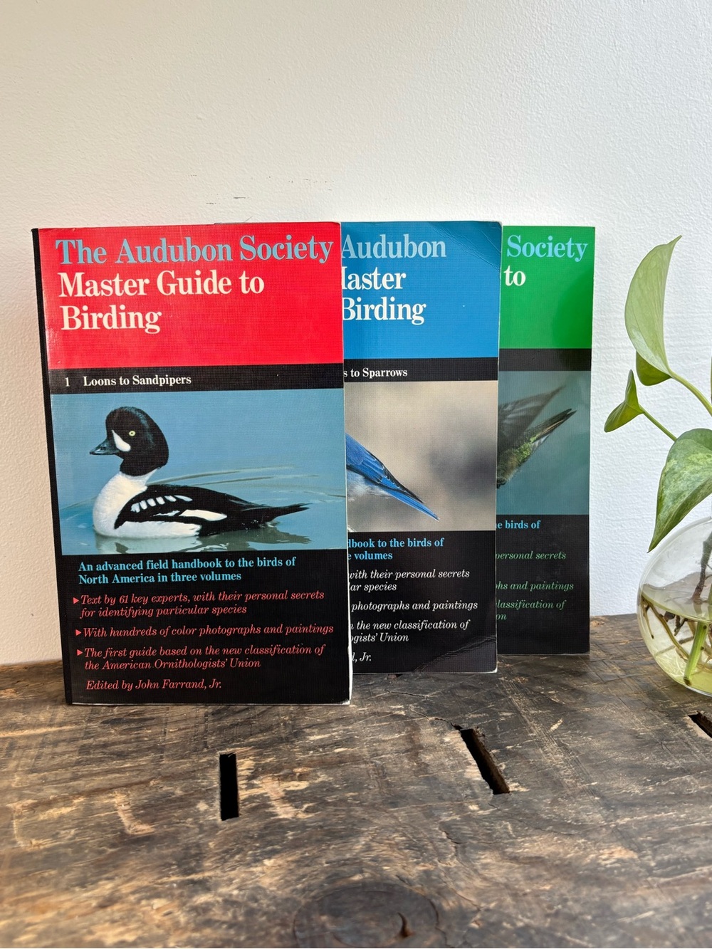 Vintage lot of Master Guide to Birding Books 1, 2, and 3 from Audubon Society